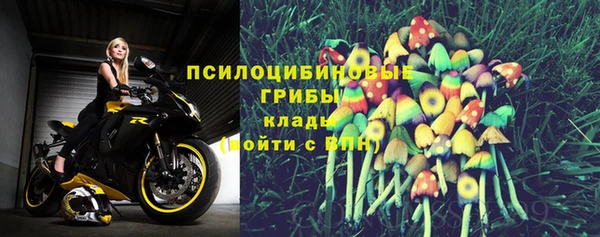 герыч Алзамай