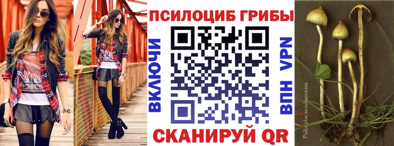 Галлюциногенные грибы мухоморы  хочу наркоту  Кыштым 
