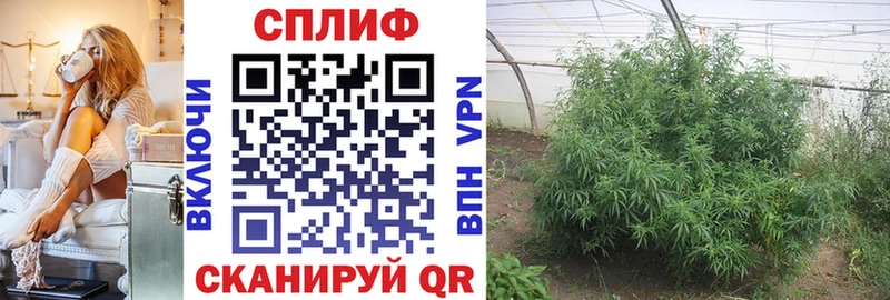 Канабис VHQ Кыштым