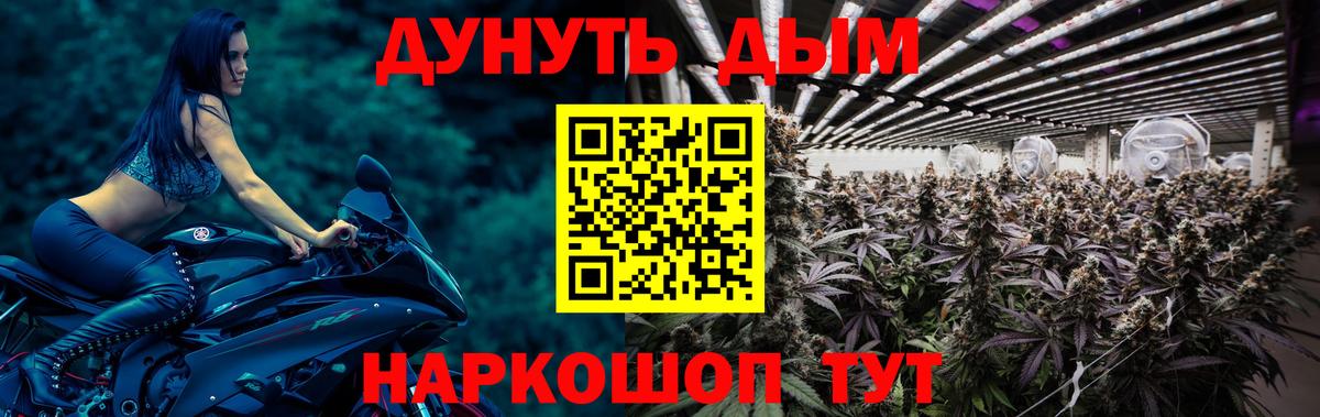 Конопля Amnesia Кыштым